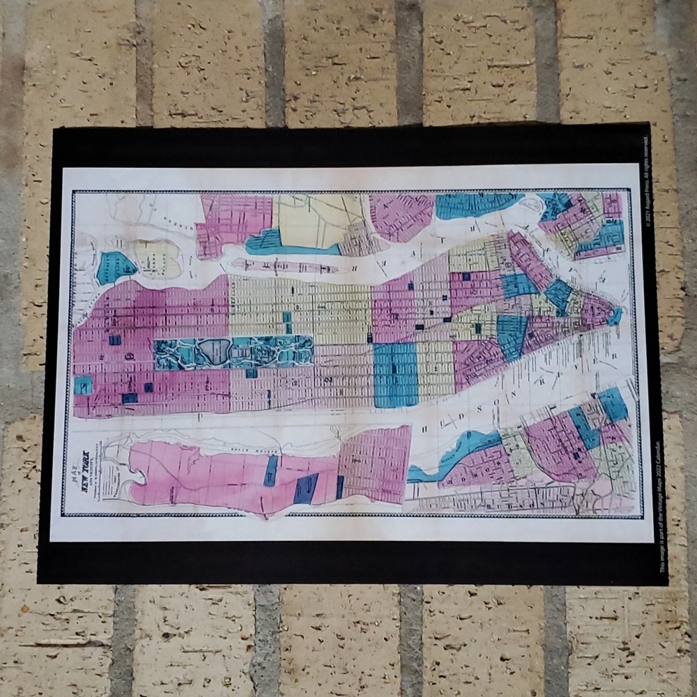 Map of New York and Vicinity 1867 Poster